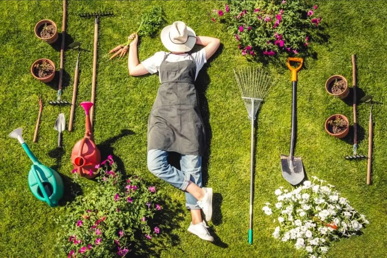 Il lavoro segreto dei giardinieri che devi assolutamente copiare per il tuo orto