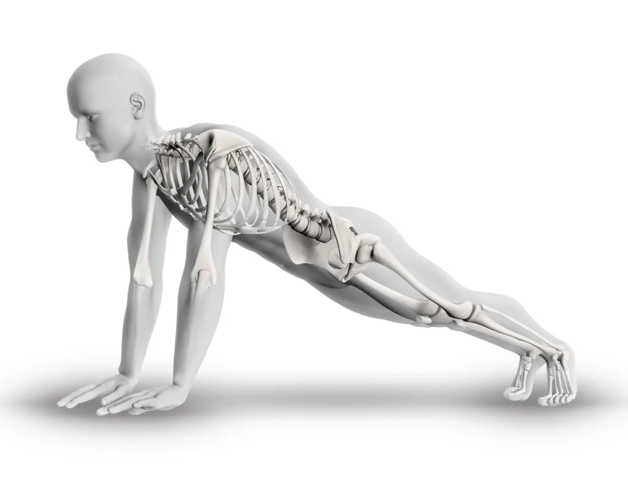 A quale età inizia l’osteoporosi? L’età sorprendente in cui inizia e i segnali da non ignorare