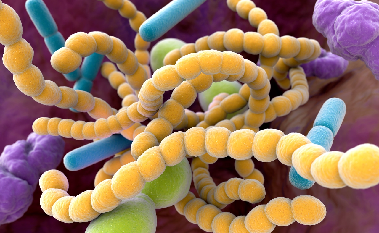 Sospetti di avere l’Helicobacter pylori? Ecco quanto costa davvero l’esame del sangue